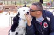 Training Service Dogs for Veterans!