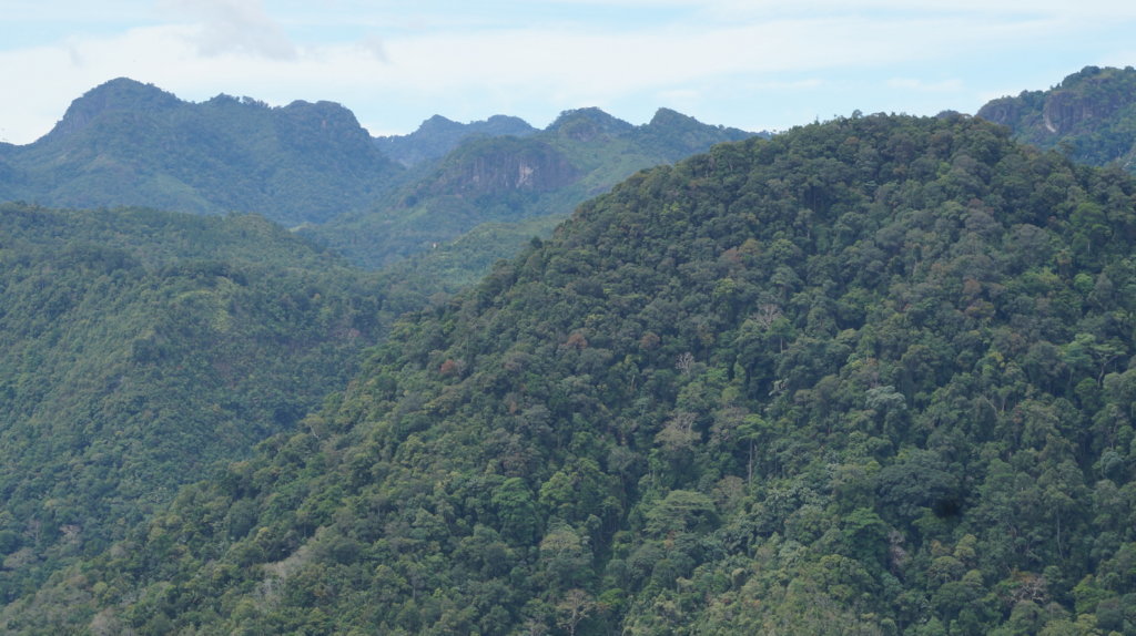 Protecting the Rich Biodiversity of Hadabuan Hills