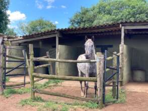 Photo by Carlien Roodt