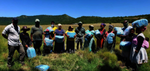Feeding Wildlife Communities - Ntabamnyama South
