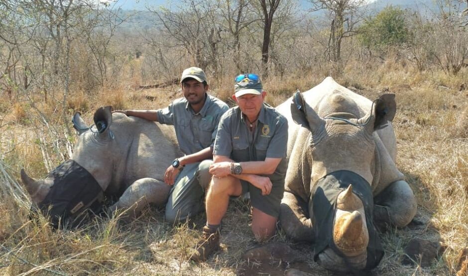 Rhino horn trimming 2026