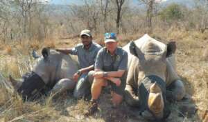 Rhino horn trimming 2026