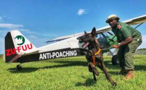 Anti-poaching in KZN