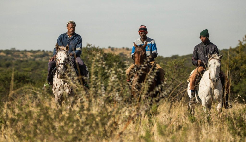 Support Mounted Rangers Fighting Rhino Poaching