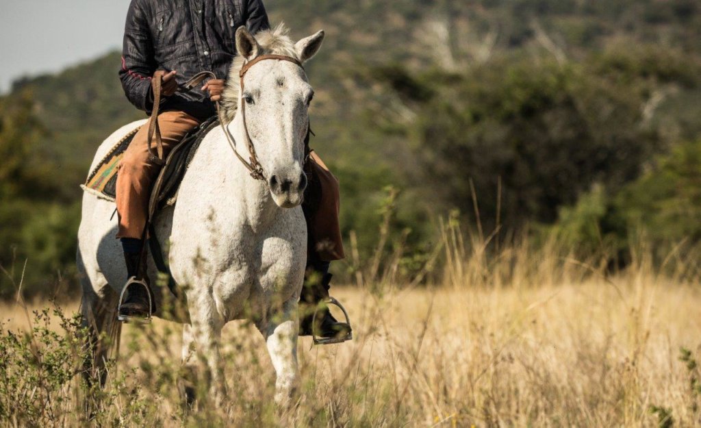 Support Mounted Rangers Fighting Rhino Poaching