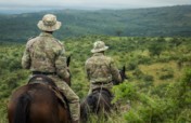 Support Mounted Rangers Fighting Rhino Poaching