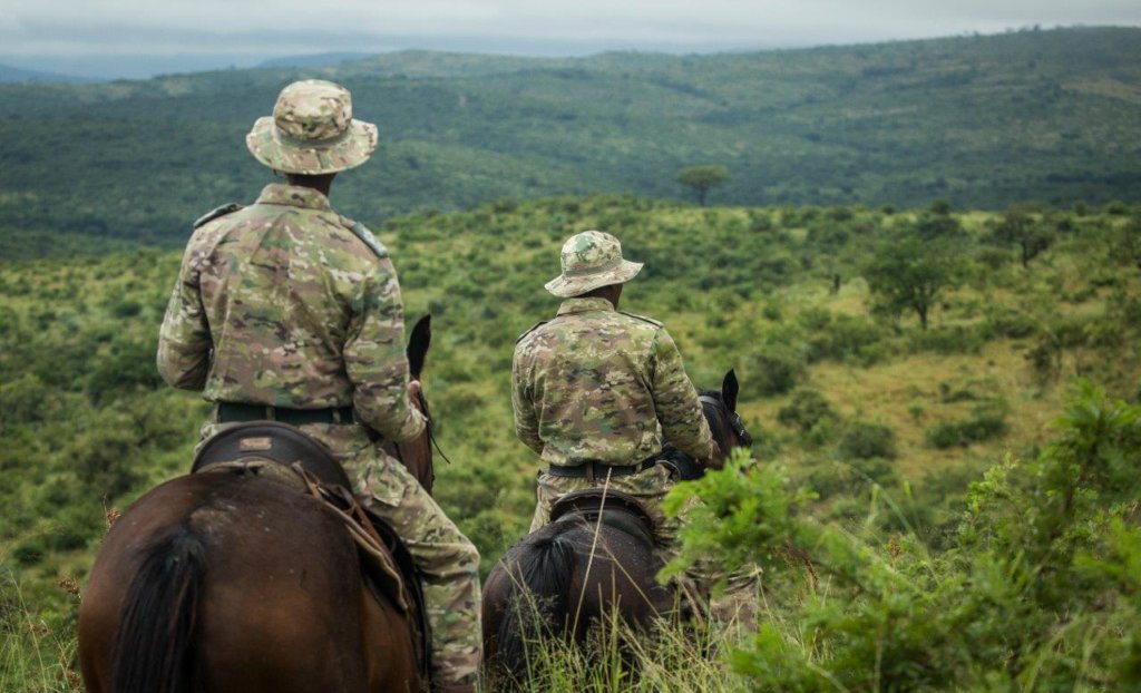 Support Mounted Rangers Fighting Rhino Poaching