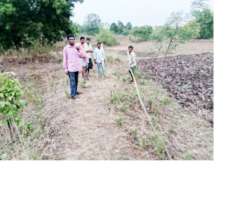 Measurement of WHS