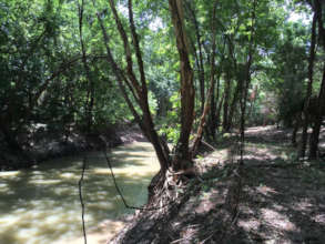 Bayou City Waterkeeper supports this wetland