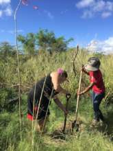 Tree planting at the coastal reserve