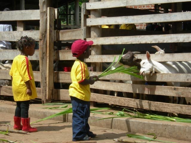 "Green meals" help 170 kids in Uganda study