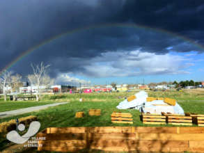 Spring on the Village Farm