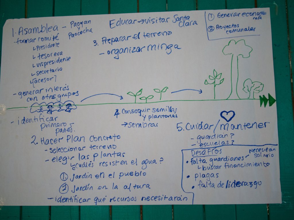 Farmacia Viva: Medicinal Forest Garden in Paoyhan