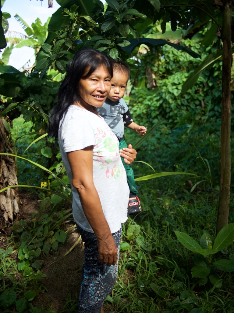 Farmacia Viva: Medicinal Forest Garden in Paoyhan