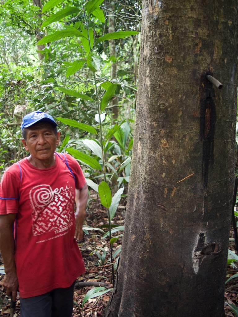 Farmacia Viva: Medicinal Forest Garden in Paoyhan