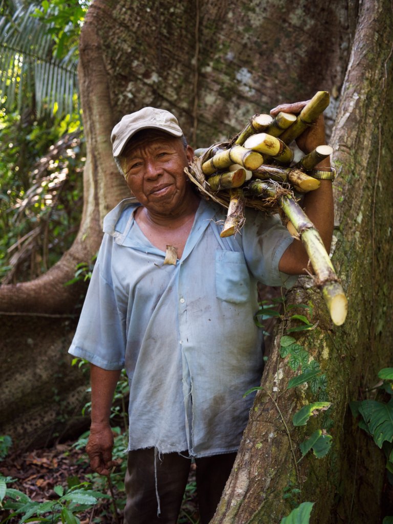 Farmacia Viva: Medicinal Forest Garden in Paoyhan