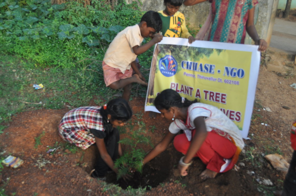 Plant trees in schools-Engage children in planting