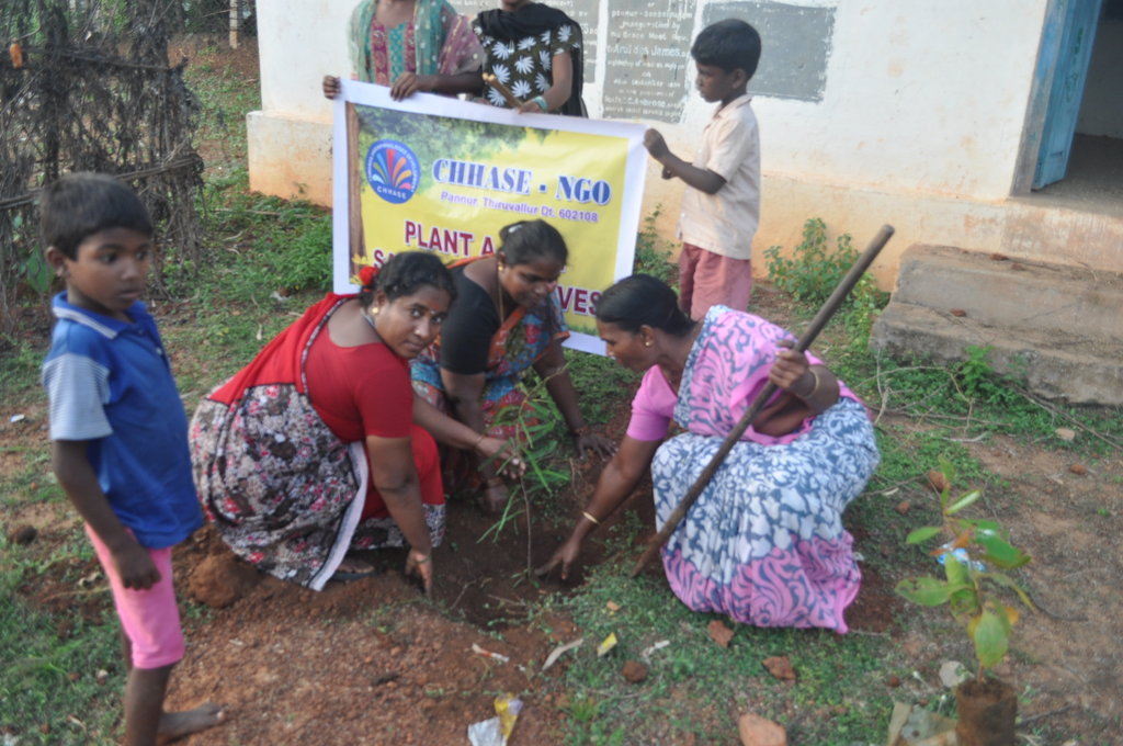 Plant trees in schools-Engage children in planting
