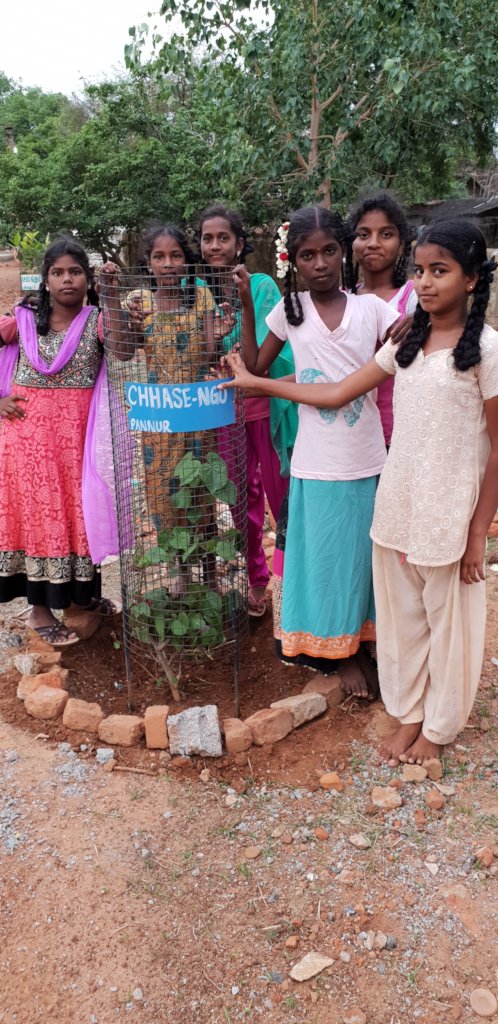 Plant trees in schools-Engage children in planting