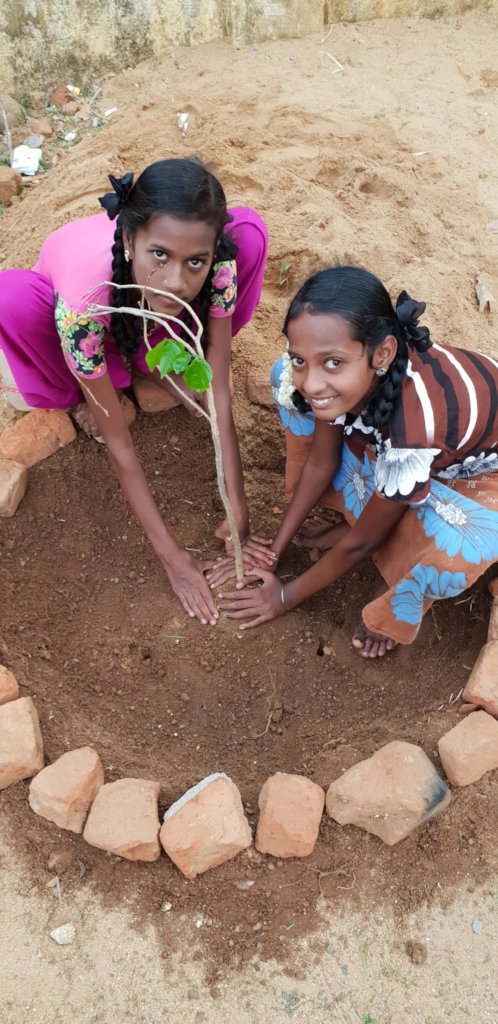 Plant trees in schools-Engage children in planting