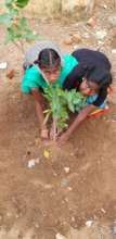 children planting