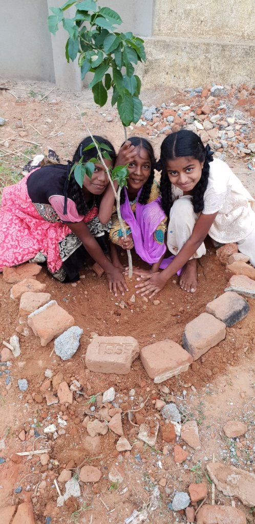 Plant trees in schools-Engage children in planting