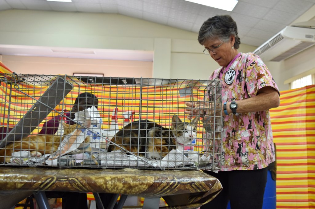 Vaccinate and Sterilize Cats and Dogs on Trinidad