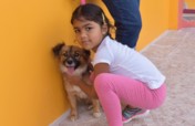 Vaccinate and Sterilize Cats and Dogs on Trinidad