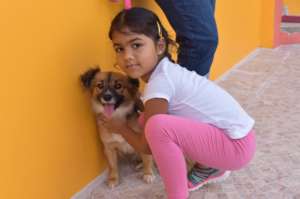 Vaccinate and Sterilize Cats and Dogs on Trinidad