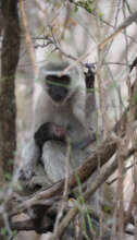 Mum and baby <3