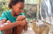 Provide Food & Care for the Wildlife Orphanage