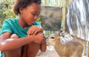 Provide food & care for  the wildlife Orphanage