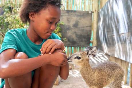 Provide Food & Care for the Wildlife Orphanage