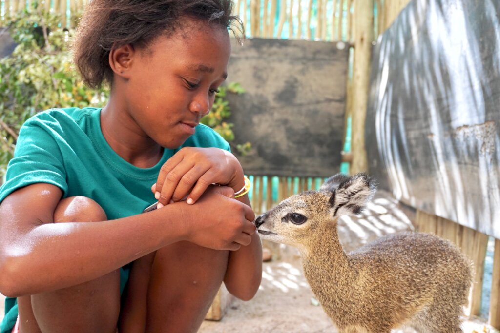 Provide Food & Care for the Wildlife Orphanage