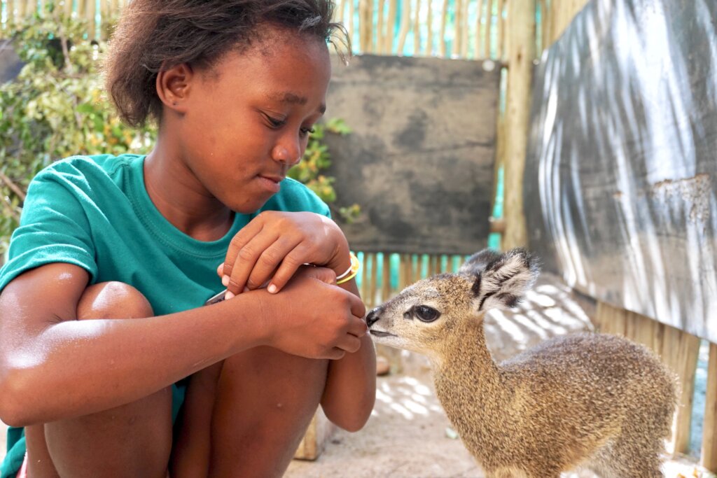 Provide food & care for  the wildlife Orphanage