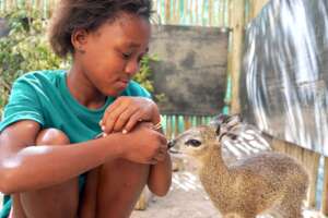 Keep Our Rescued Animals Healthy & Safe