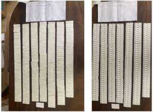 Case records (blurred) & RDTs for 2 sectors, 8 mos