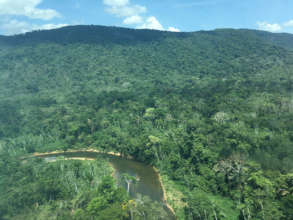 Bird's-eye view of Iguana in the Venezuelan Amazon