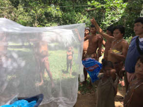 Checking out the treated nets