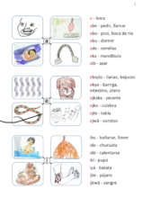 Primer drawings were created by community members