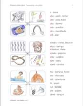 Learning the syllables: a page from the primer