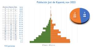 Kayama, Joti Population Pyramid