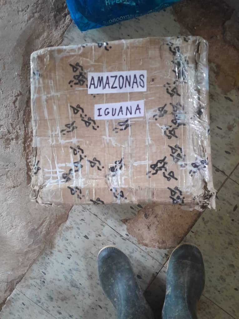 How to ship books in the Amazon