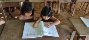Culture flows through learning in language