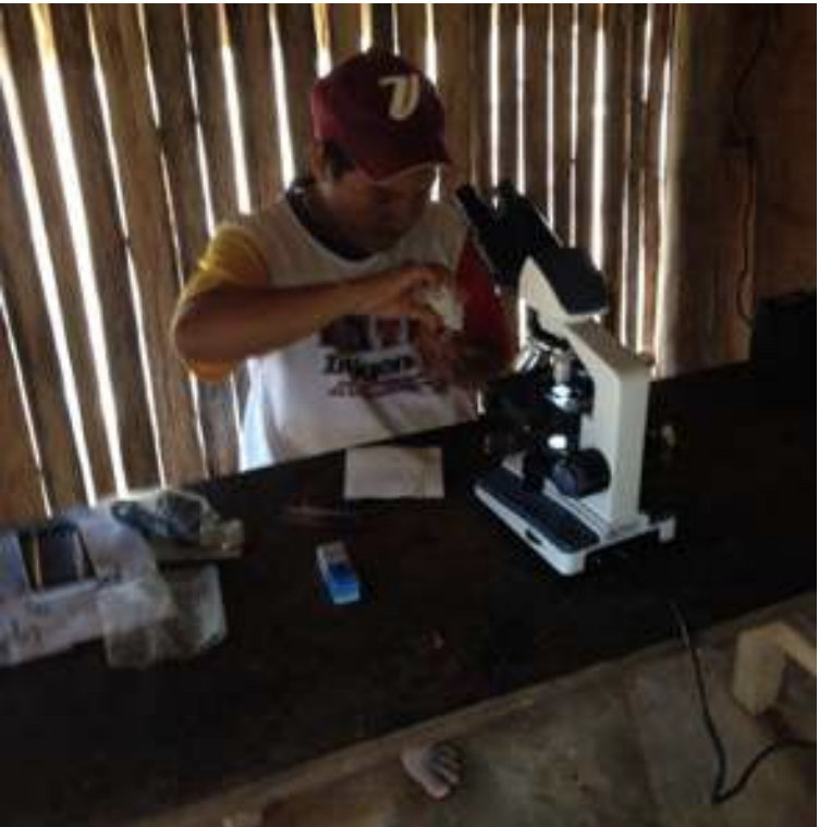Community microscopist diagnosing type of malaria