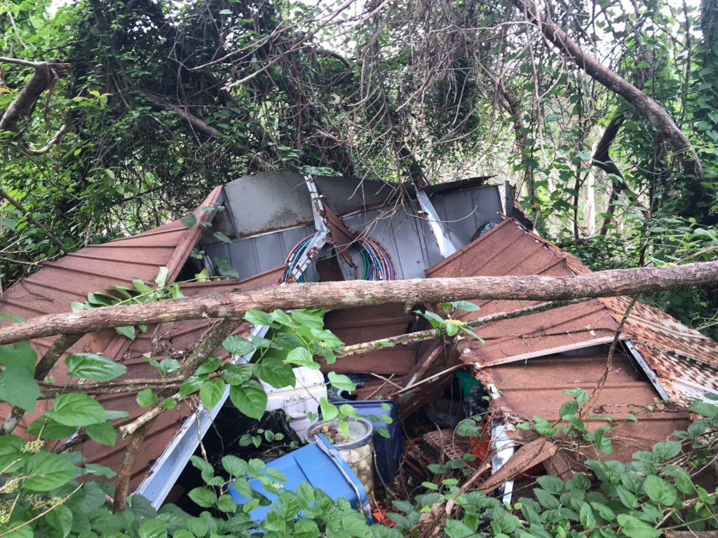 Recovery of Puerto Rico through Youth Leadership