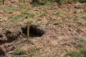 Submunition found near Shefqet's house