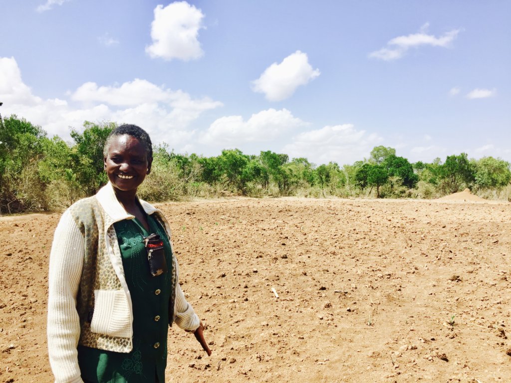 Donate 50 Heifers and End Tribal Conflict in Kenya