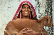 Give A Goat to A Poor Rural Women