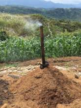 Producing organic fertilizer